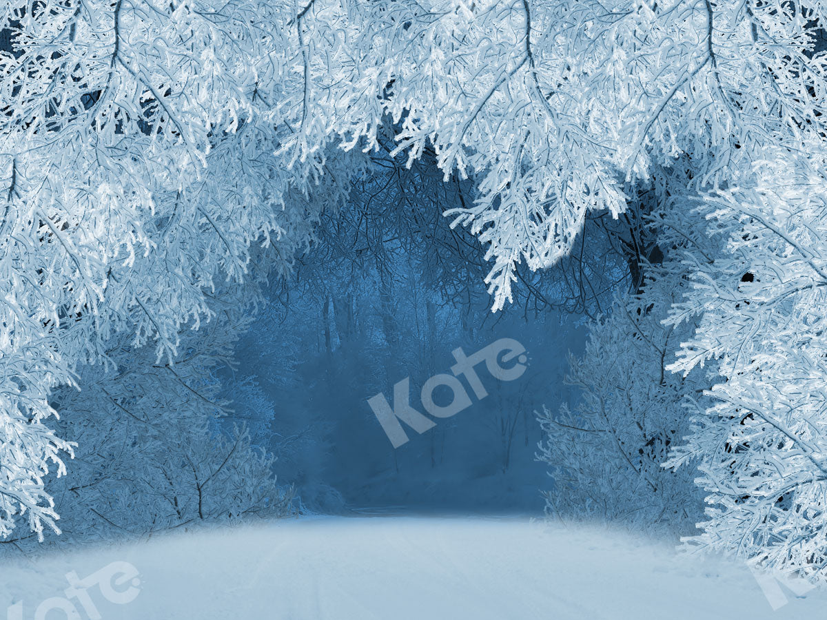 Kate 写真撮影のための冬の雪の木の不思議の国の背景