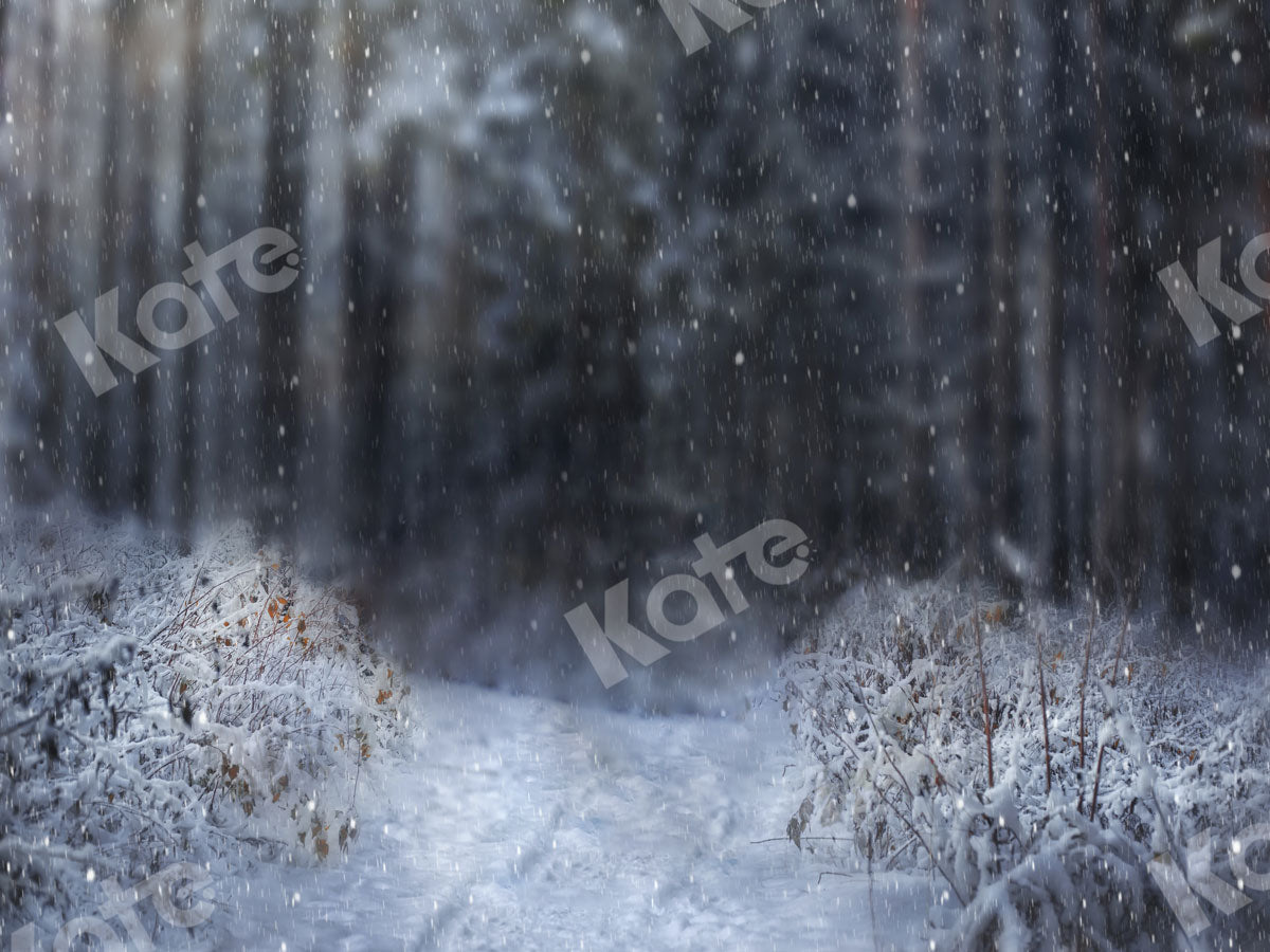Kate 写真撮影のための冬の雪に覆われた森の背景