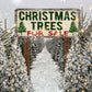Kate クリスマスの農場の木の写真の背景