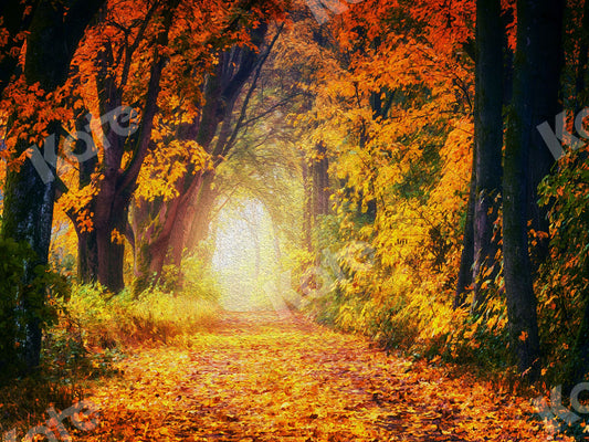 kate 写真のための秋の背景林道