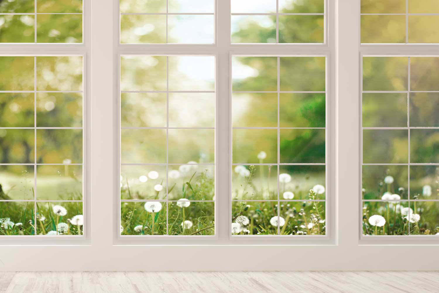 Kate 春の草の花 窓 背景