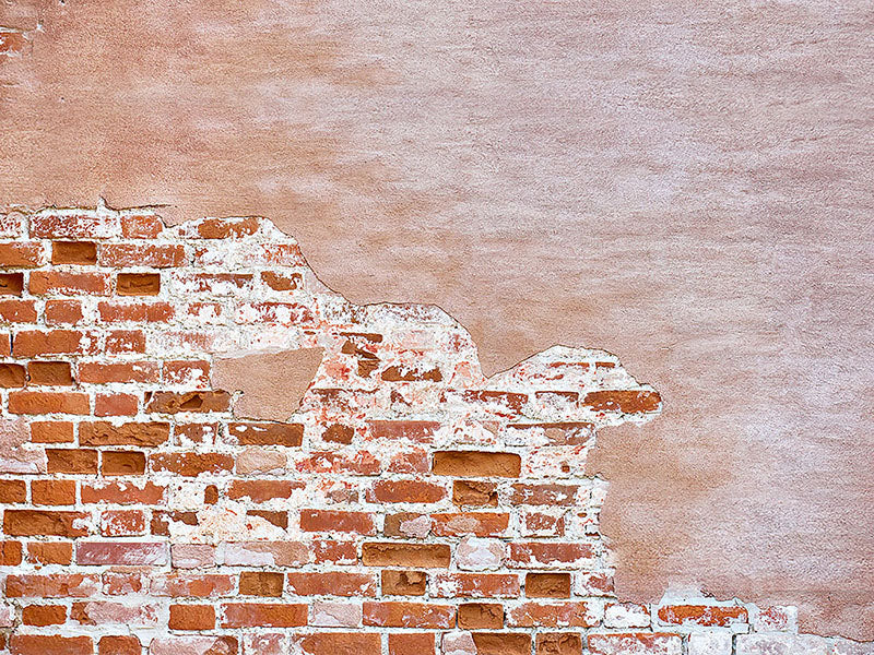 Kate レンガの壁の背景をはがす によって設計された Kate Image