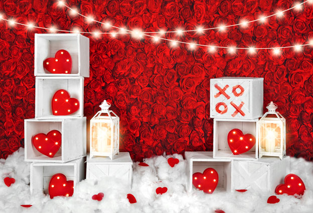 好評 Kate 8 x 8 ftftバレンタインデーのテーマ写真背景赤の花とラブ