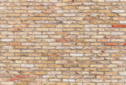 Kate原色のレンガの壁の背景Kate Imageデザイン