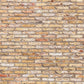 Kate原色のレンガの壁の背景Kate Imageデザイン
