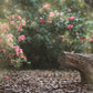 Kate丸太のベンチのある庭フェアリーライト春の写真撮影の背景
