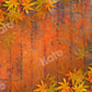 Kate 写真撮影のための秋のカエデの葉の木製の背景