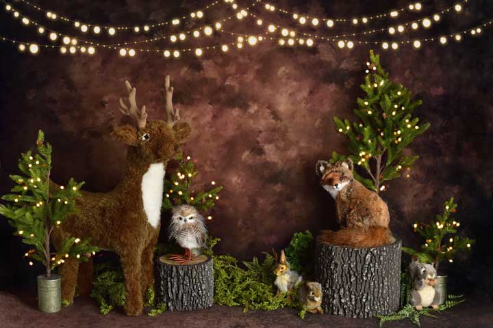 Kate マンディリンゲ写真によって設計された森の生き物の背景