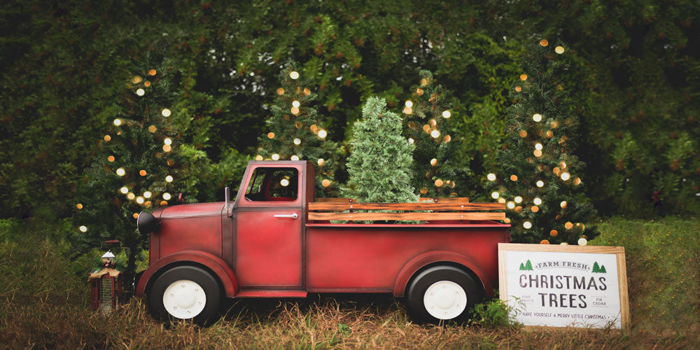 Kate 赤い車のクリスマスツリーファームの背景 によって設計された Pine Park Collection