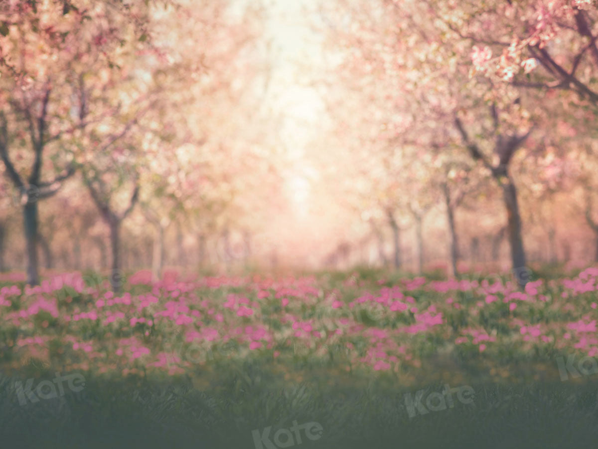 Kate写真撮影のための春の桜の果樹園の背景