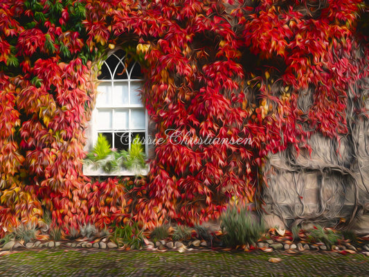 Kate 窓の背景と秋の赤いカエデの葉によって設計された  Cassie Christiansen Photography