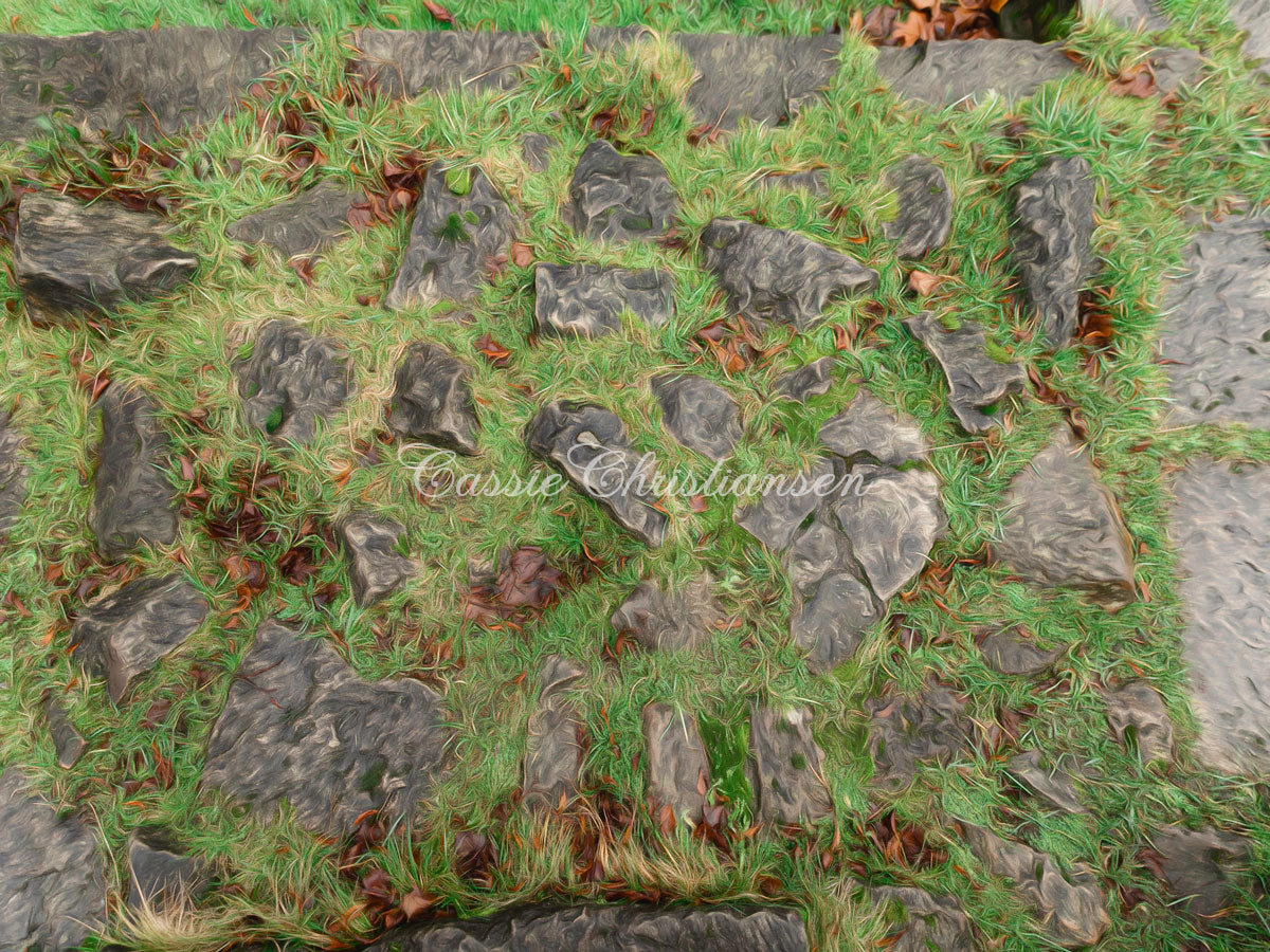 kate草と岩背景