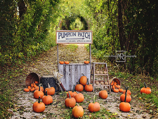 Kate かぼちゃの秋/感謝祭の背景によって設計された Mandy Ringe Photography