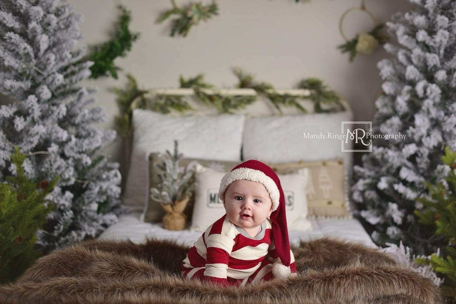 Kate クリスマスのヘッドボードの木の写真の背景 によって設計されたMandy Ringe Photography