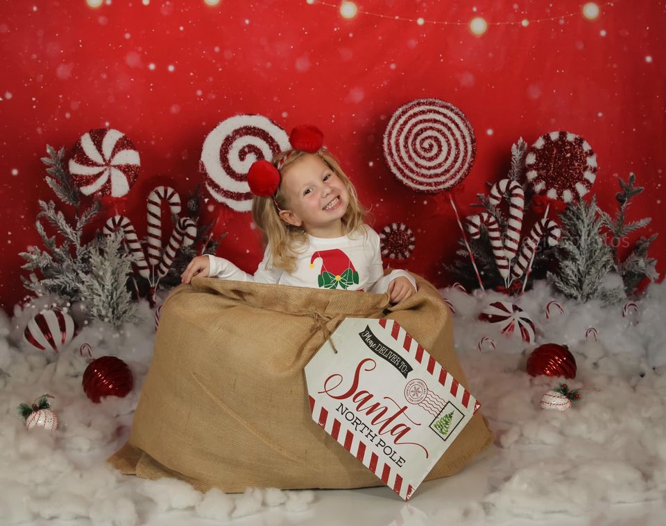 Kate Mandy Ringe Photography クリスマスペパーミントワンダーランドの背景デザイン