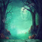 Kate 写真幻想的なハロウィーンの背景森の夜月