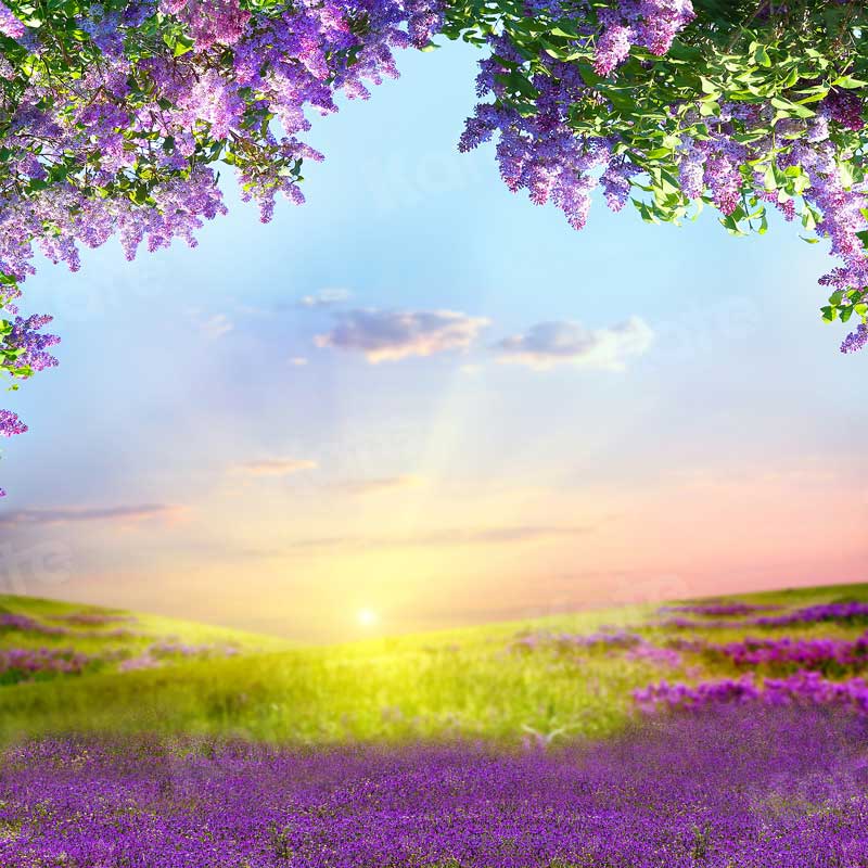 Kate 屋外の紫色の花の風景ラベンダーの背景