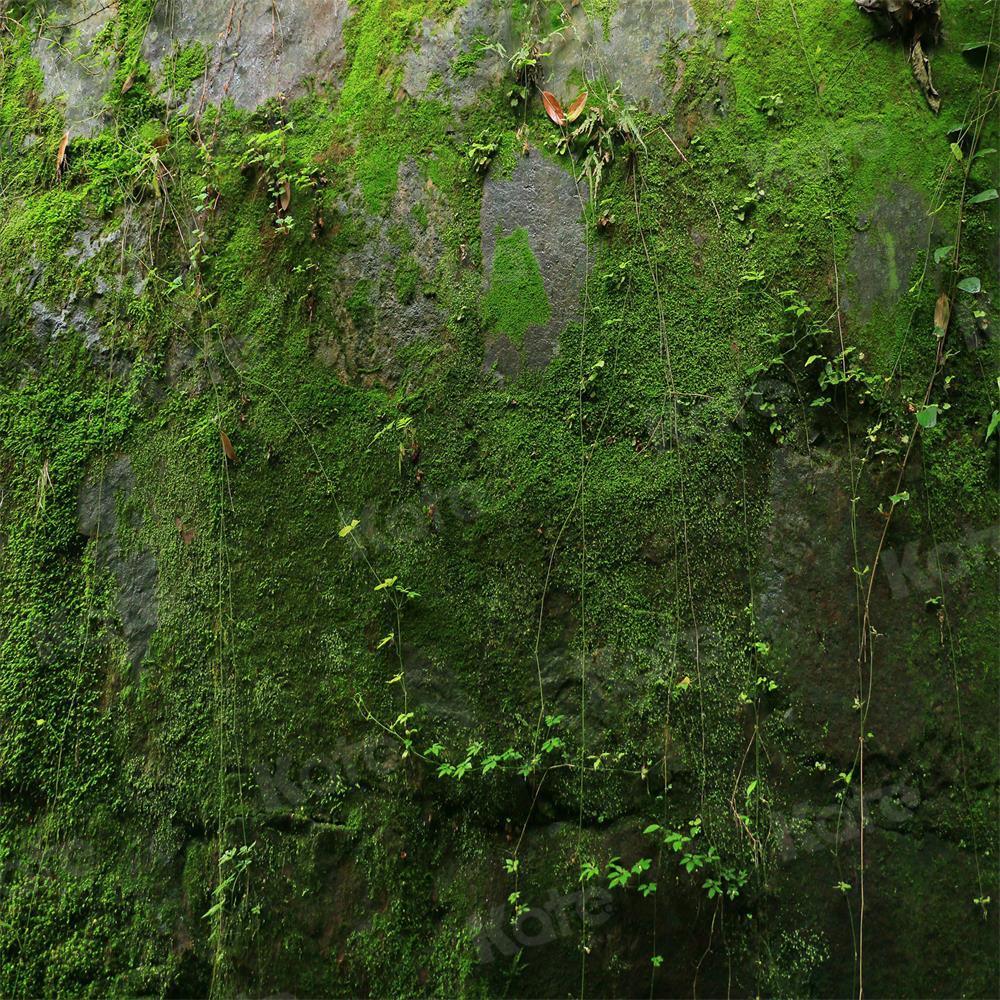 写真撮影のためのkateつの石の緑の苔の背景植物の葉