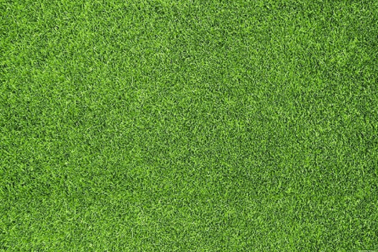 Kate 緑の草原ゴム床マット