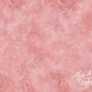 Kate ピンクのバラ色の背景