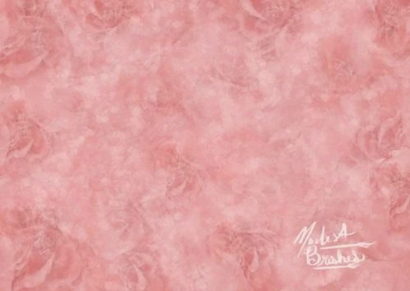 Kate ピンクのバラ色の背景