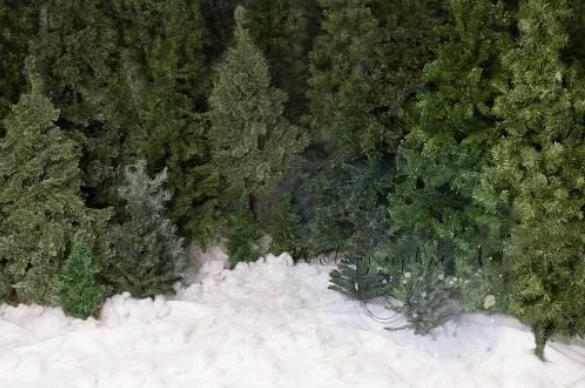 Kate クリスマスツリーファーム雪背景