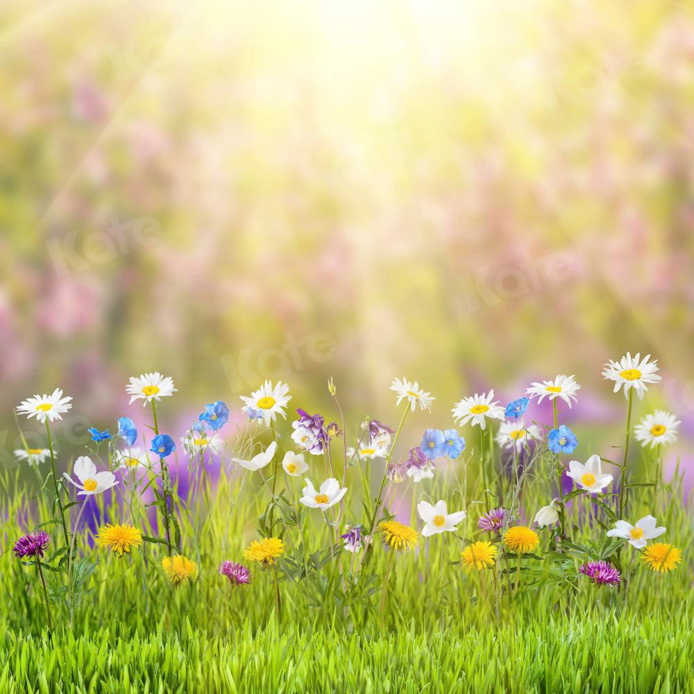 Kate 春の自然の風光明媚なイースターカラフルな花の写真の背景
