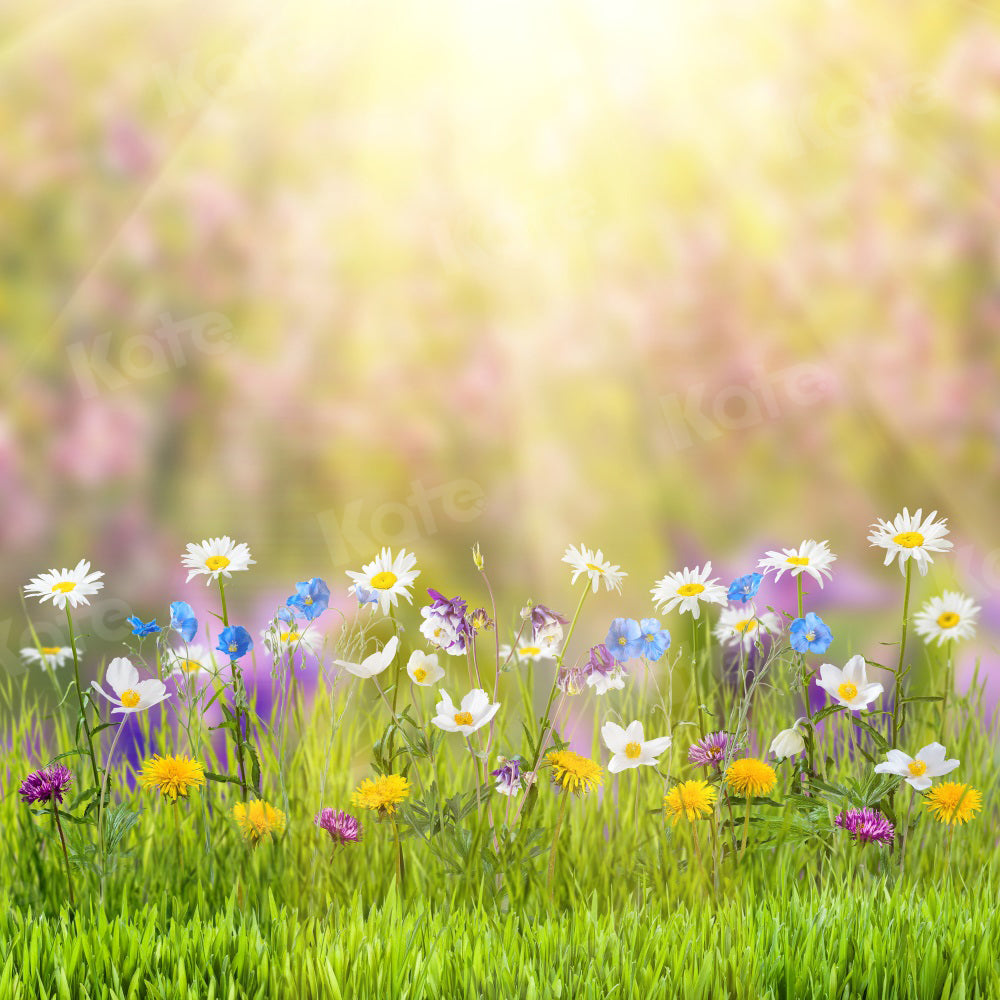 Kate 春の自然の風光明媚なイースターカラフルな花の写真の背景