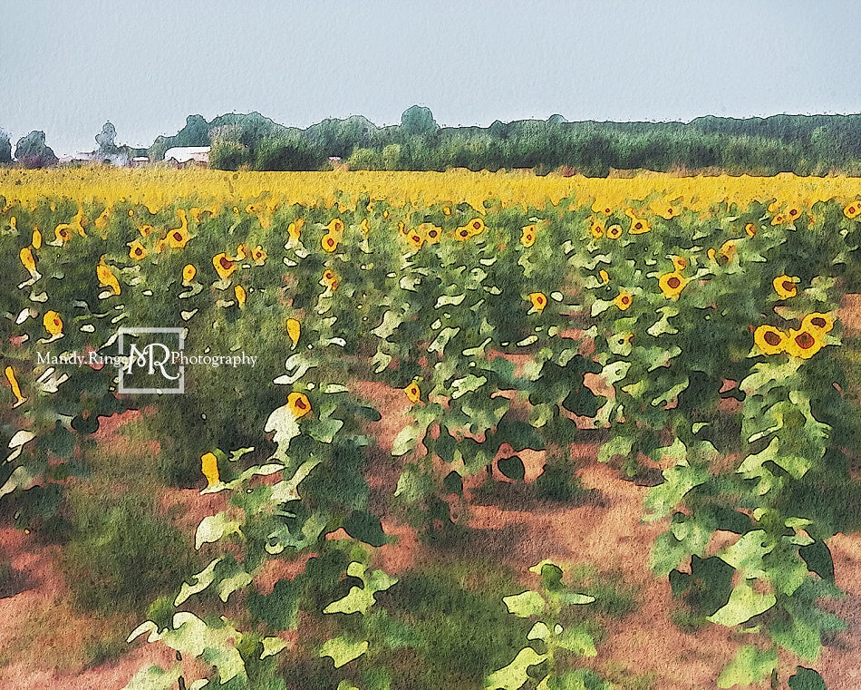 Kate夏のひまわり畑の背景Mandy Ringe設計