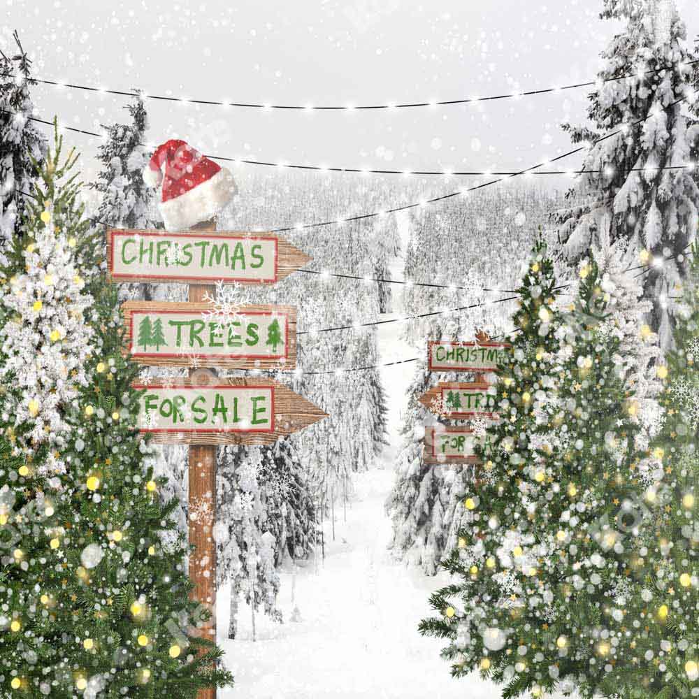 チェーン写真によって設計された写真撮影のためのKateクリスマスツリー雪の背景冬