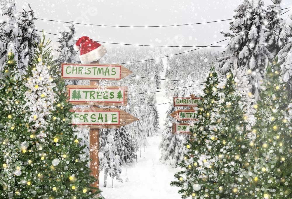 写真撮影のためのkateクリスマスツリー雪の背景冬