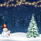 写真撮影のためのkateクリスマスの夜の背景雪だるま冬