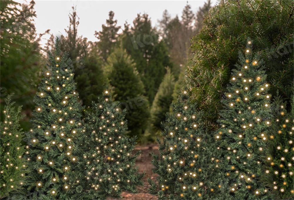 写真撮影のためのケイトのクリスマスツリーの背景の森