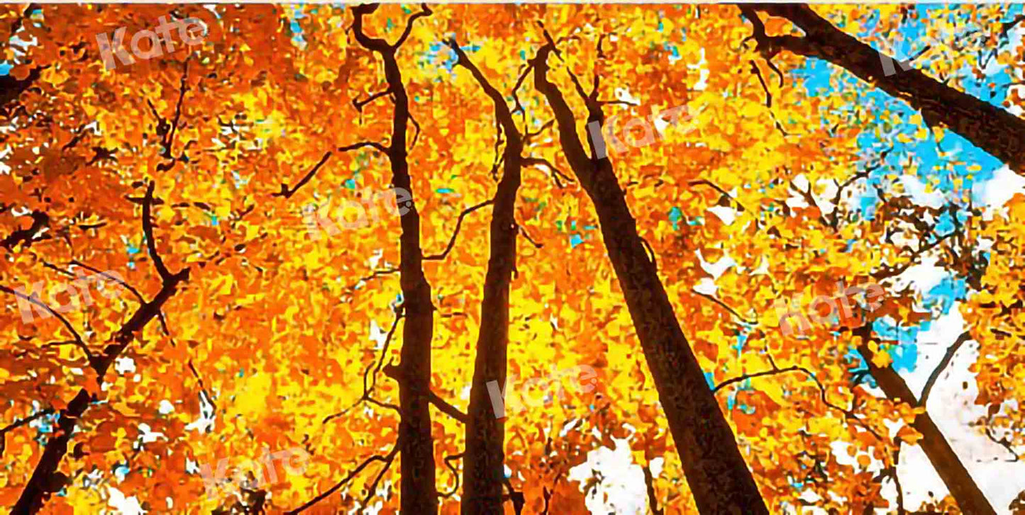 写真撮影のためのkate秋の森の空の背景