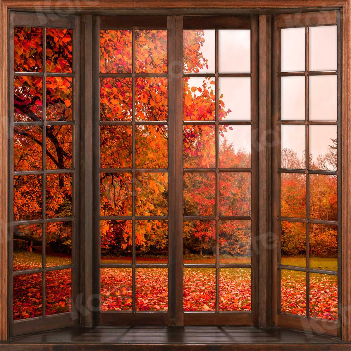 写真撮影のための窓の外のKateつの秋の落ち葉の背景