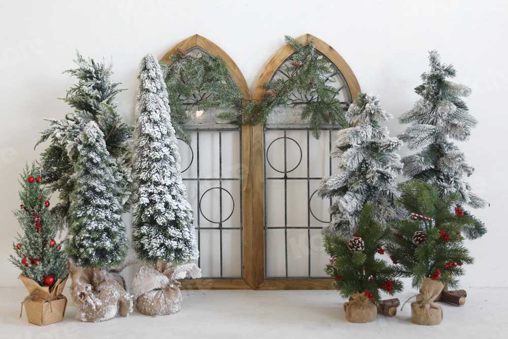 kateクリスマス冬の背景の木写真撮影のための納屋のドア