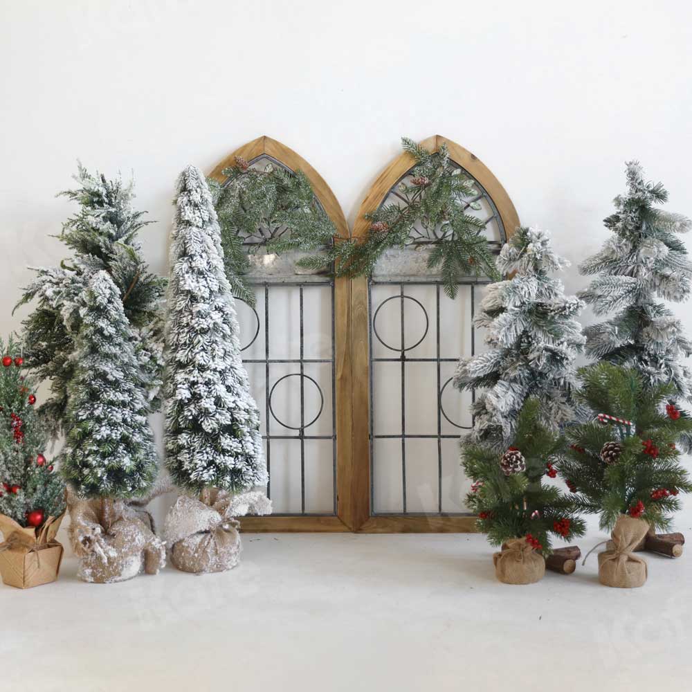 kateクリスマス冬の背景の木写真撮影のための納屋のドア