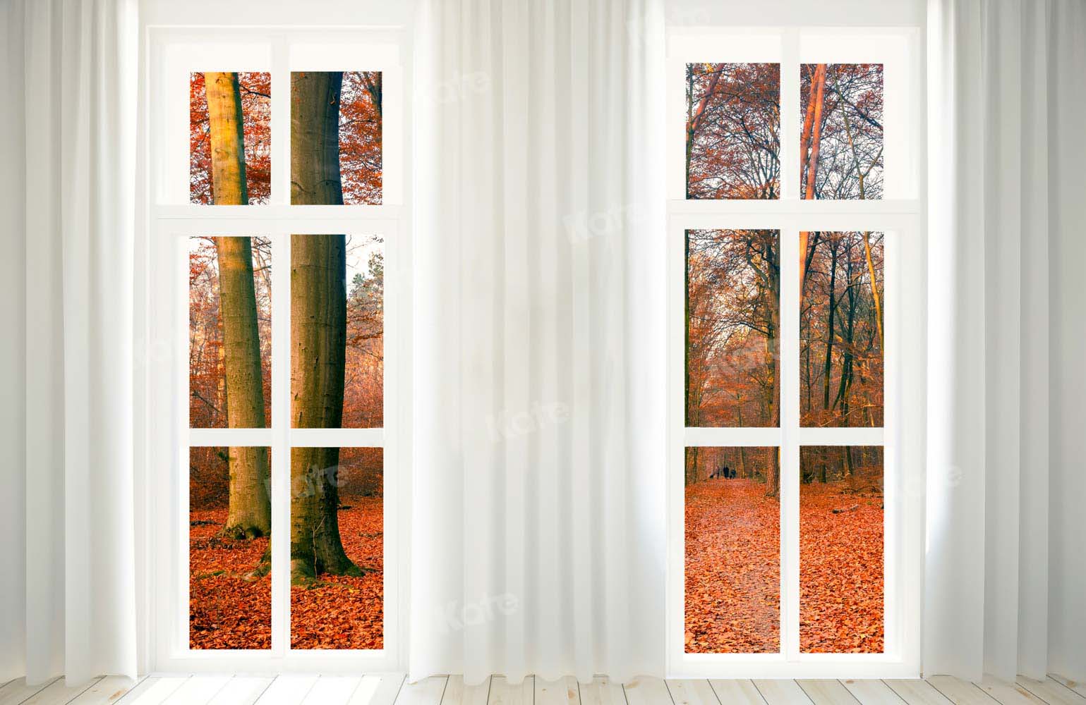写真撮影のためのkate秋の森のドアの背景