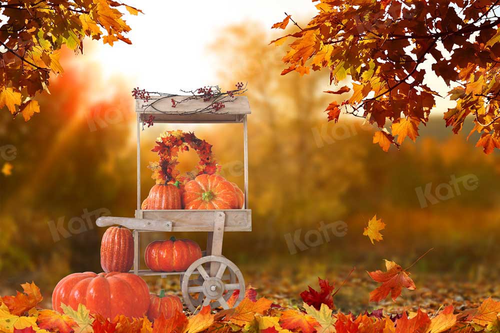 写真撮影のためのkate秋のハロウィーンの背景収穫カボチャ車