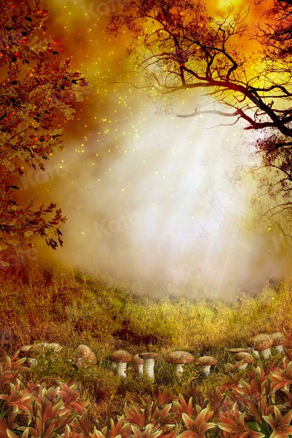 kate秋の森の背景写真撮影に不思議