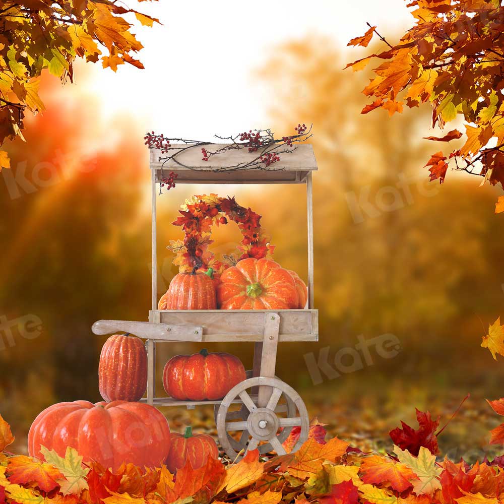 写真撮影のためのkate秋のハロウィーンの背景収穫カボチャ車
