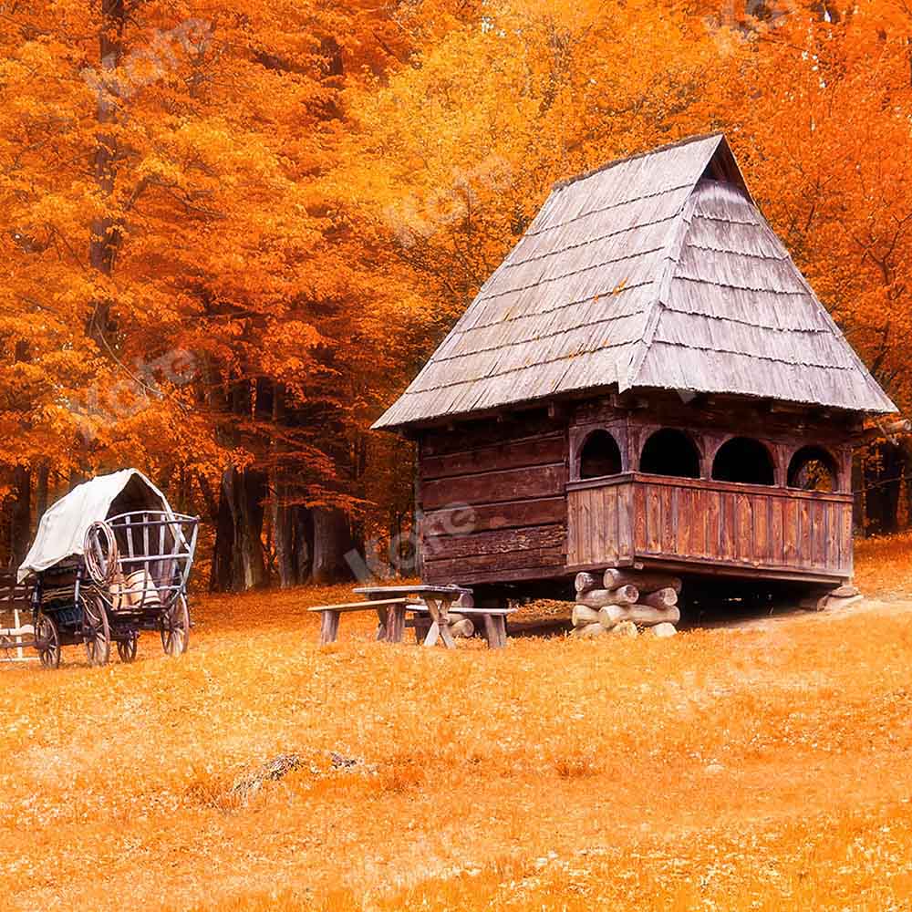kate秋のフィールドの背景ウッドハウス