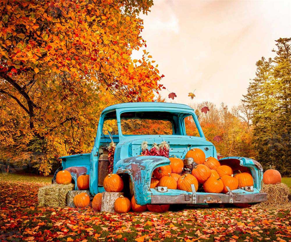 写真撮影のためのkate秋のカボチャ車の背景の森
