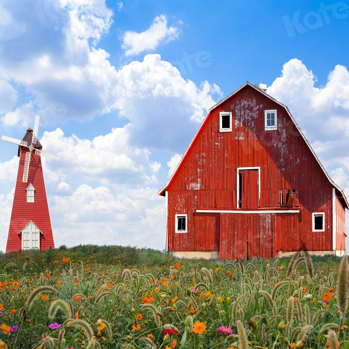 写真撮影のためのkate秋の草の背景赤い家