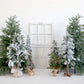 写真撮影のためのkateクリスマス冬の背景の木白