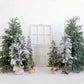 写真撮影のためのkateクリスマス冬の背景の木白