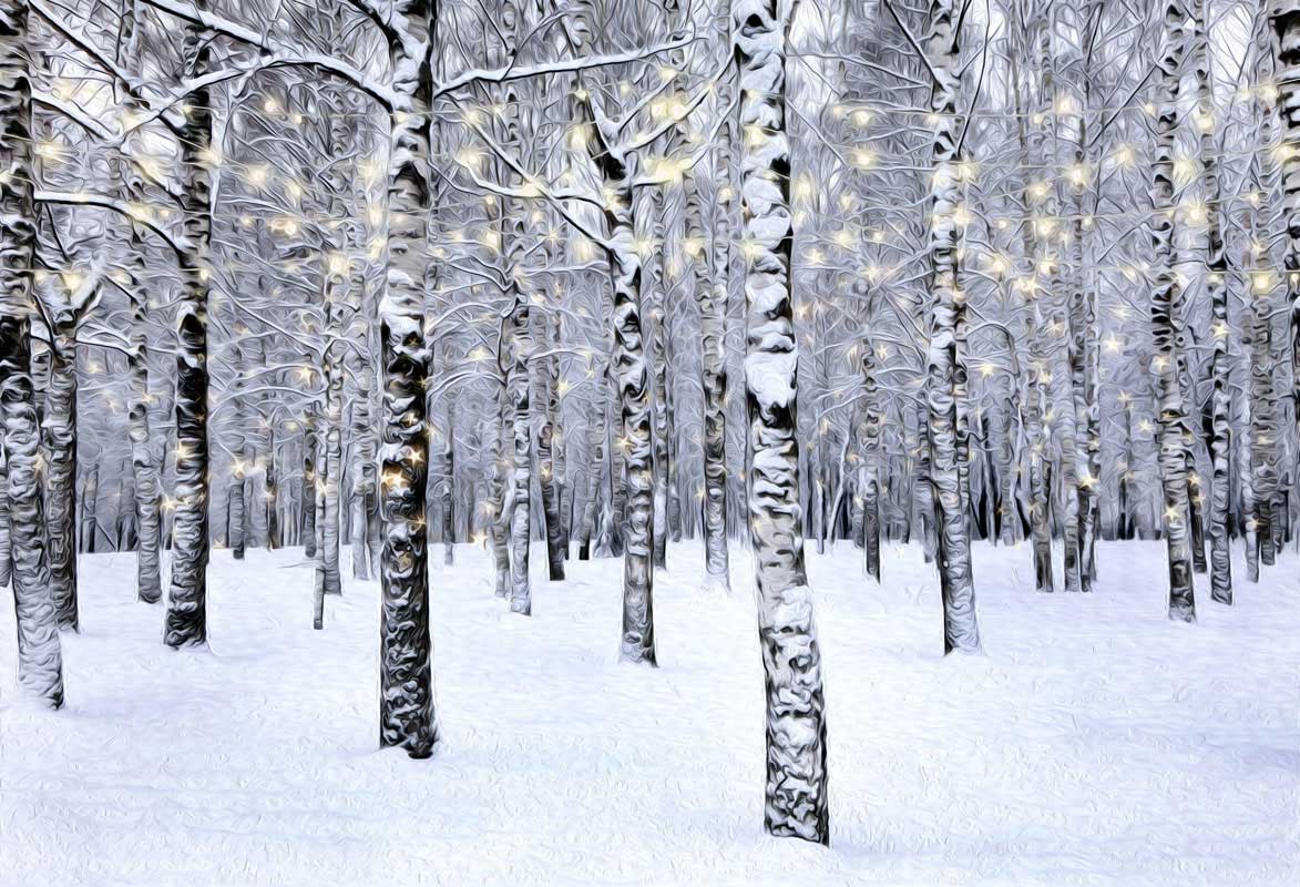 写真撮影のためのKateクリスマスの森の背景冬