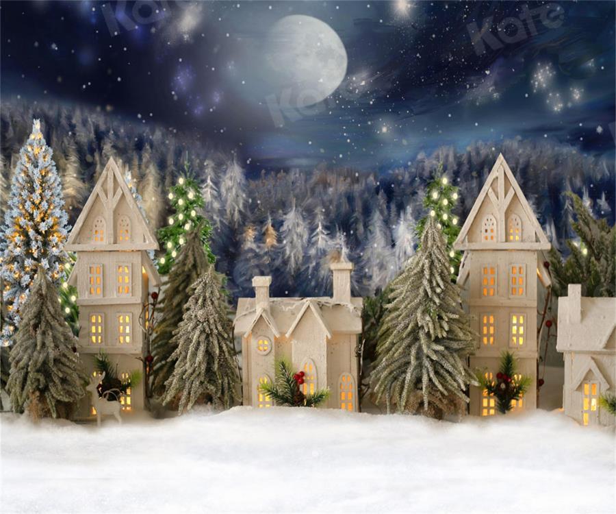 kateクリスマスの家の背景写真撮影のための冬の雪